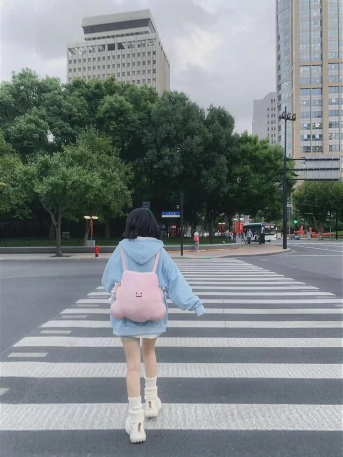Women Kawaii Oversized Zip Up Hoodie Cute Cartoon Embroidery Casual Pullover Sweatshirt Harajuku Casual Streetwear
